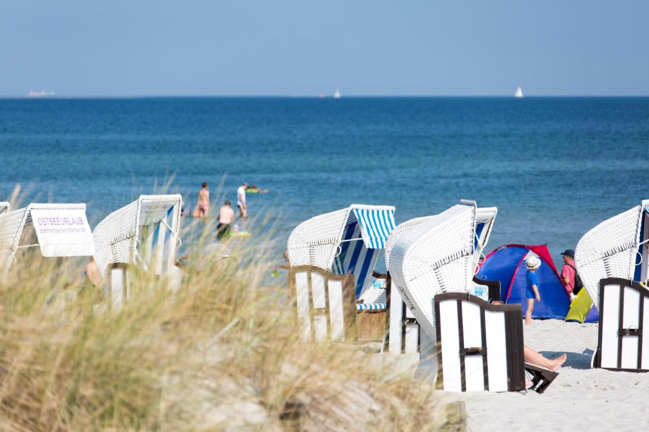 Seebrise Zingst Kültér fotó